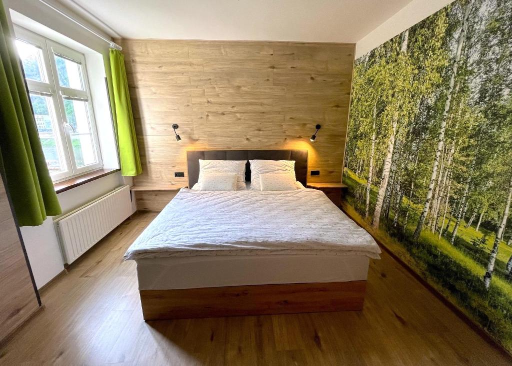 Apartmán Rosa, Děčín