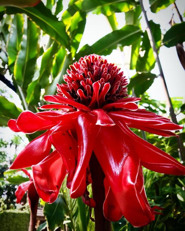 Surrounding environment