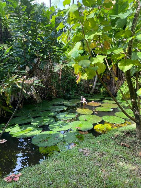 Surrounding environment