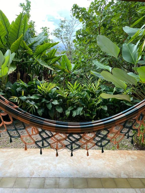 Surrounding environment