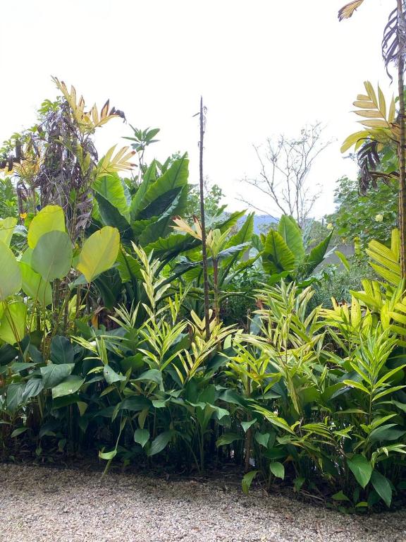 Surrounding environment