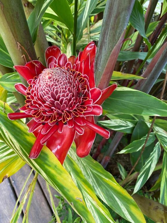 Surrounding environment