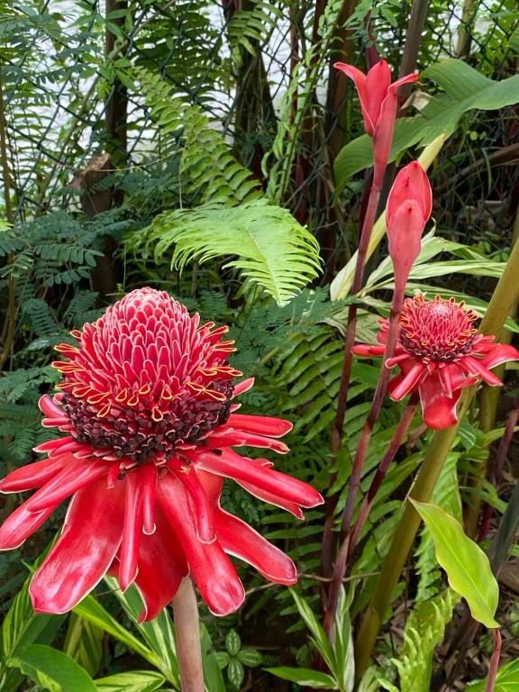 Surrounding environment