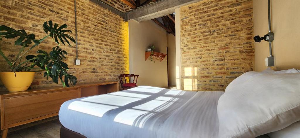 QUINTA SEIS TRES - 4