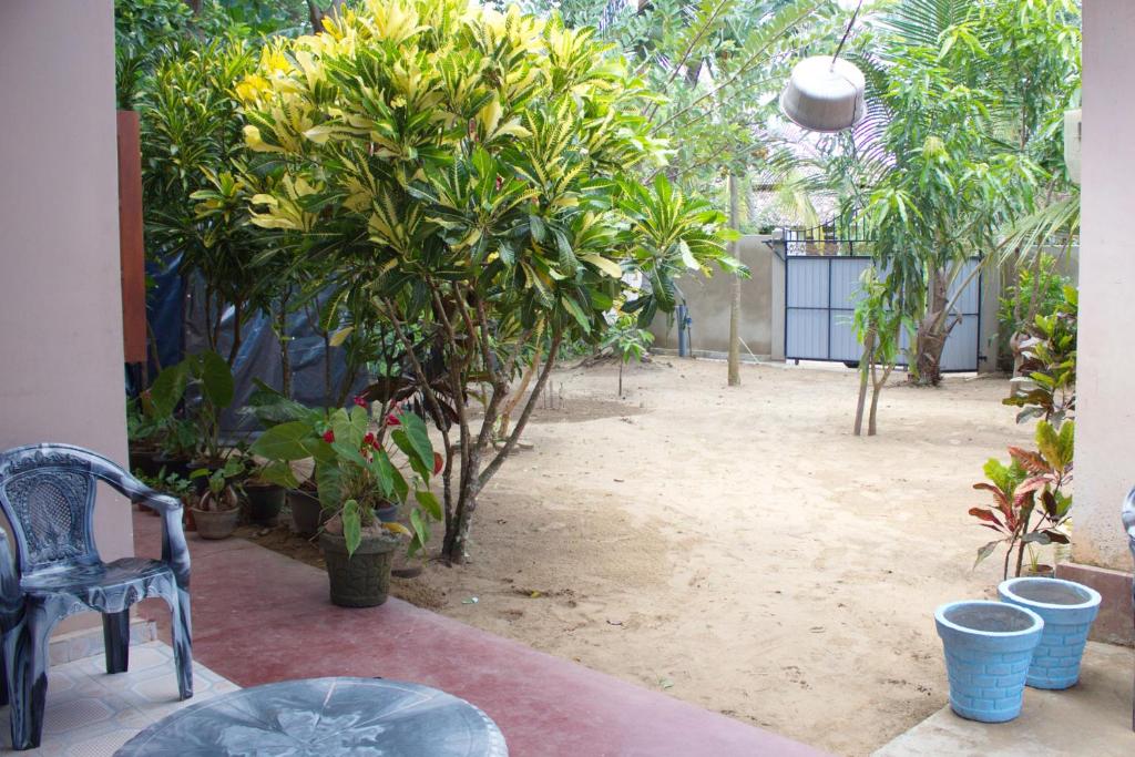 Sagopearl Guest photo