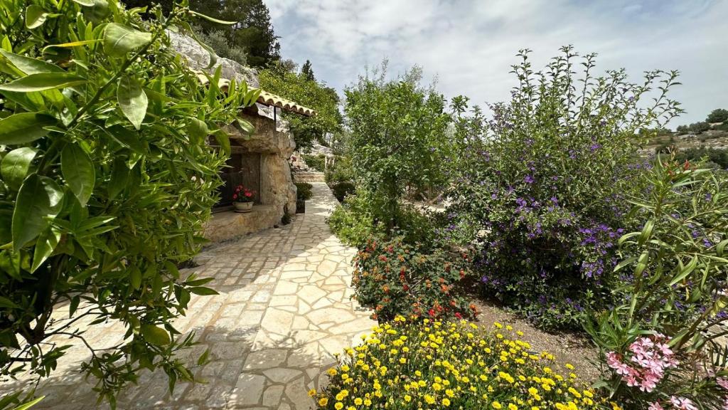 Casa vacanze Il Mandarancio - 3