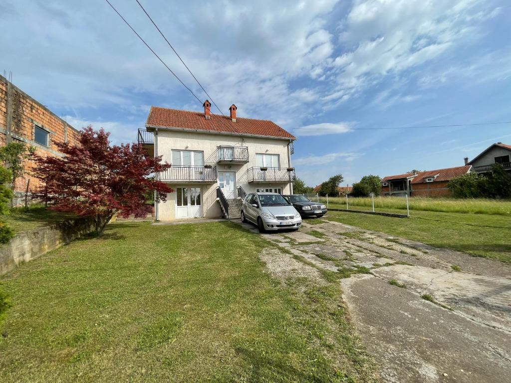 Avala Sunshine, Zuce