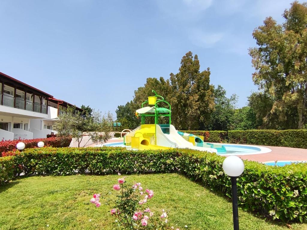 アクティビティ