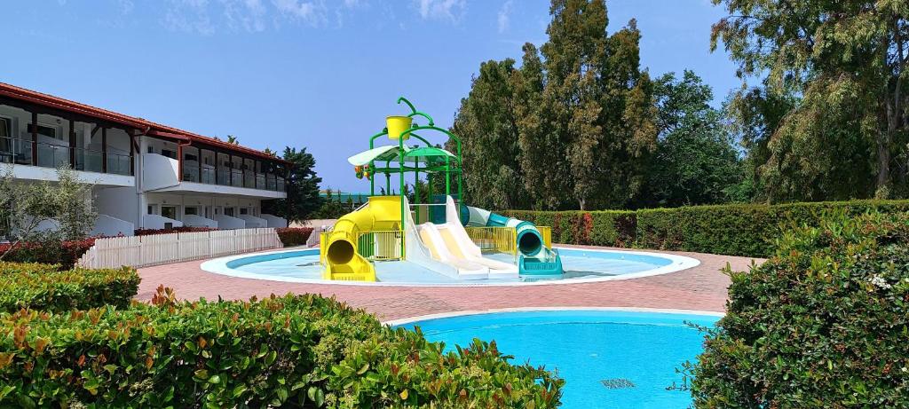 アクティビティ