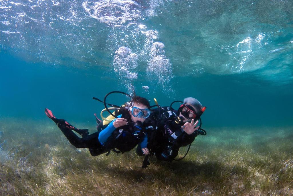 アクティビティ