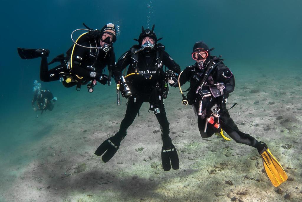 アクティビティ