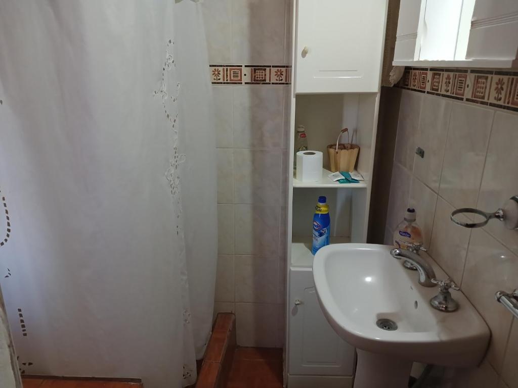 Alquiler en San Rafael - 4