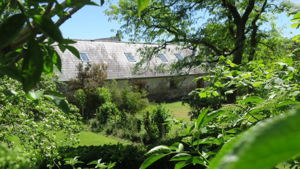 The Old Cowshed - Home Stay B and B, Pembroke