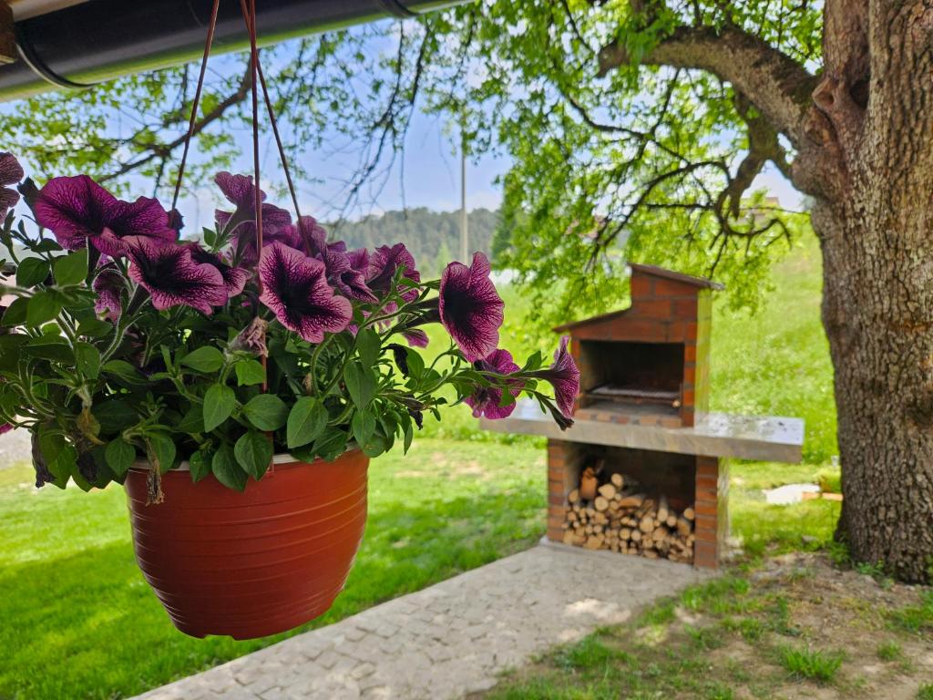 Brvnara ispod stare kruške - 3