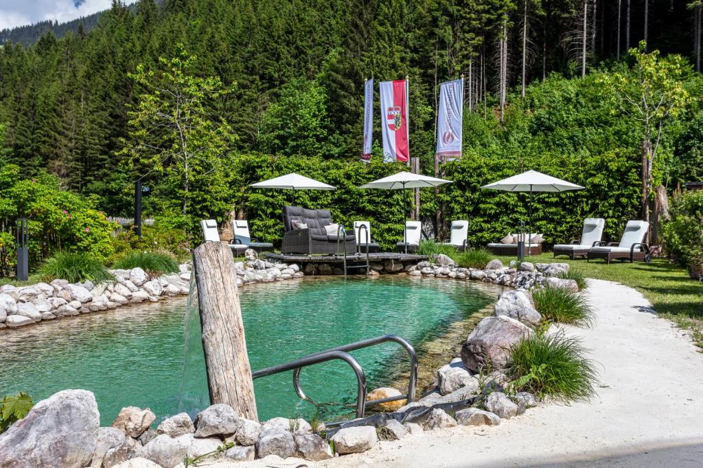 Chalet Schiederhof - 3
