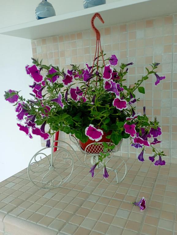Casa bluchic Gioisia - 4