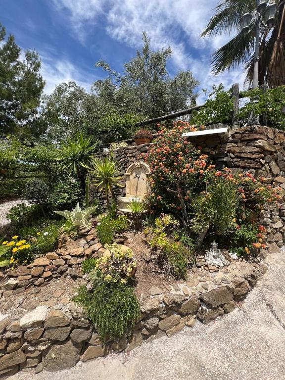 Los Olivos - 5