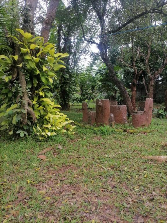 Raffles hotel & Family Restaurant, Anuradhápura