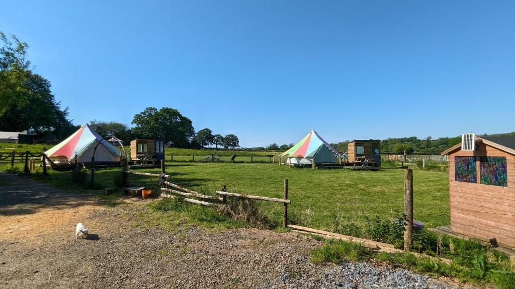 Belle Village, non electric ,Rent a bell tent, BEDDING NOT SUPPLIED, Narberth