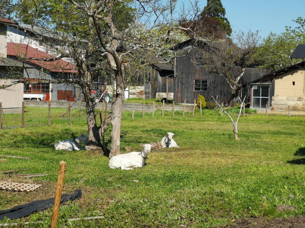 2. 白神山地の麓でヤ..