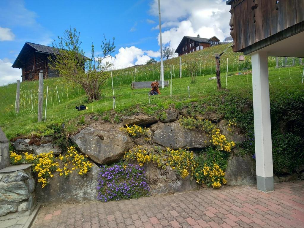 Chalet Pfyffer - Mountain view - 4