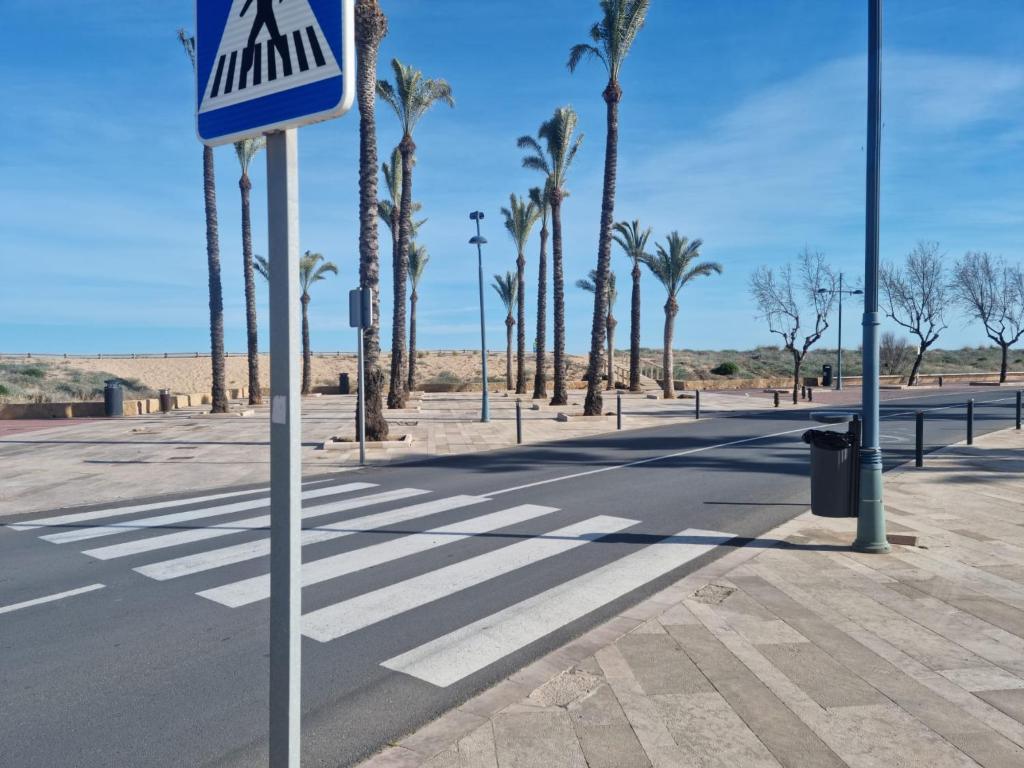 APARTAMENTO LA PALMERA - 4