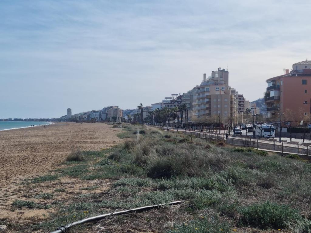 APARTAMENTO LA PALMERA - 5