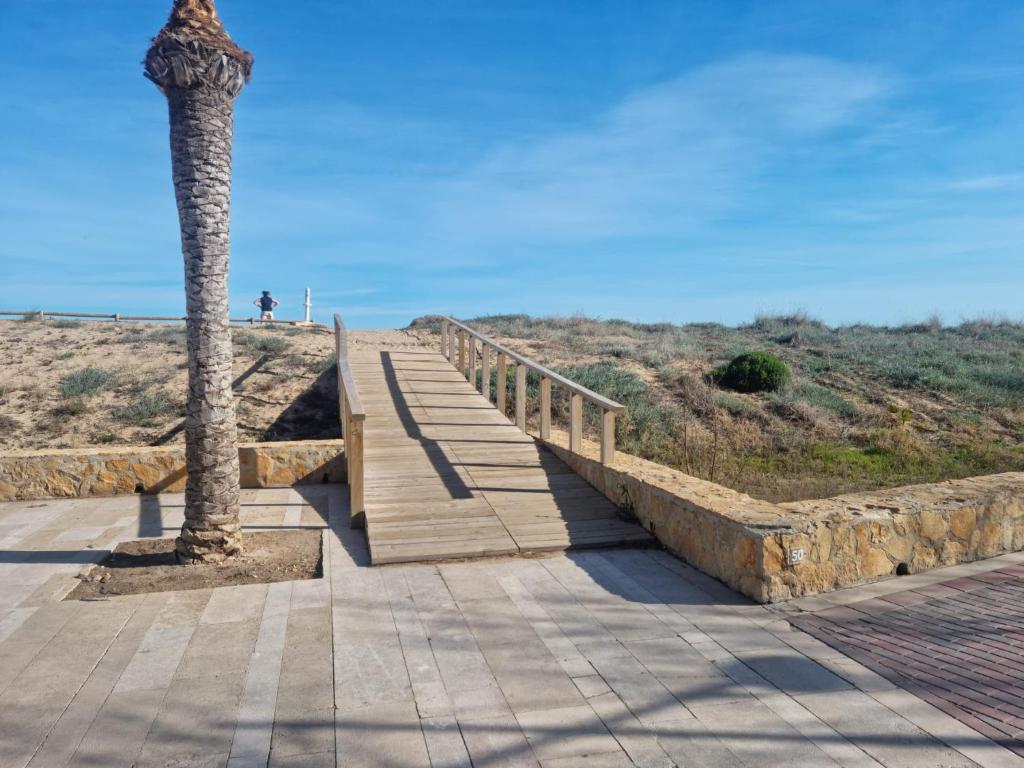 APARTAMENTO LA PALMERA - 3