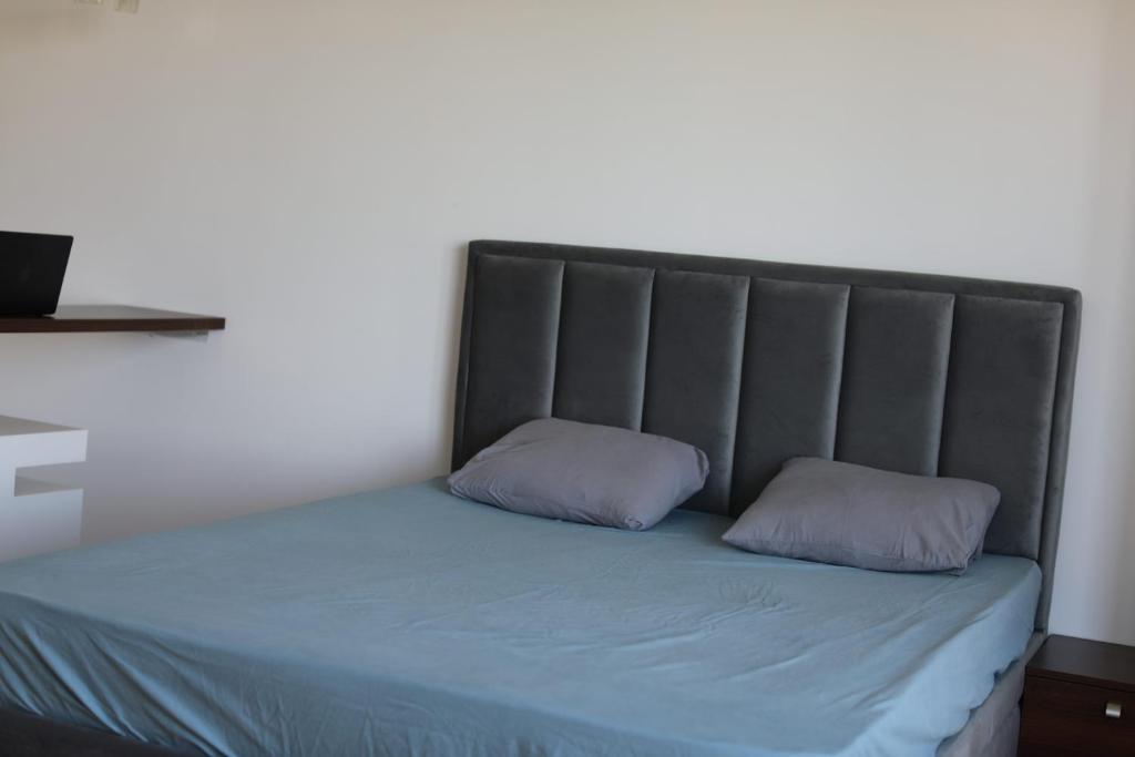 Lucic apartments Dorcol - 2