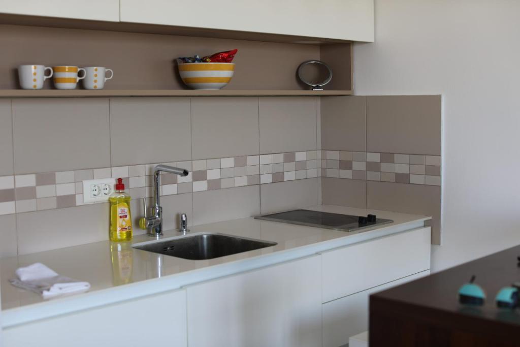 Lucic apartments Dorcol - 5