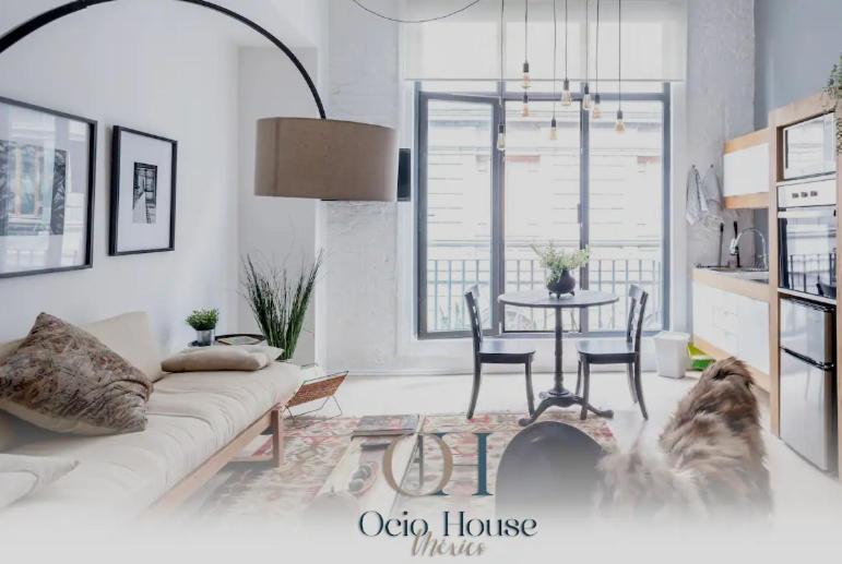 Loft estilo Industrial junto al MUNAL - 1