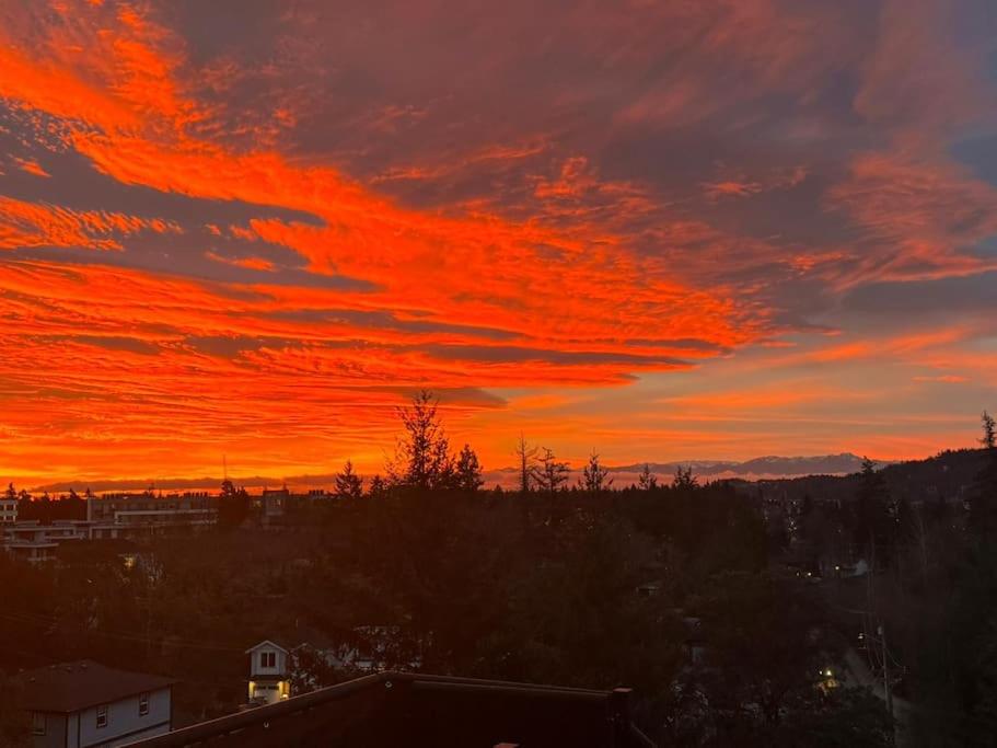 Super wow view!, Victoria