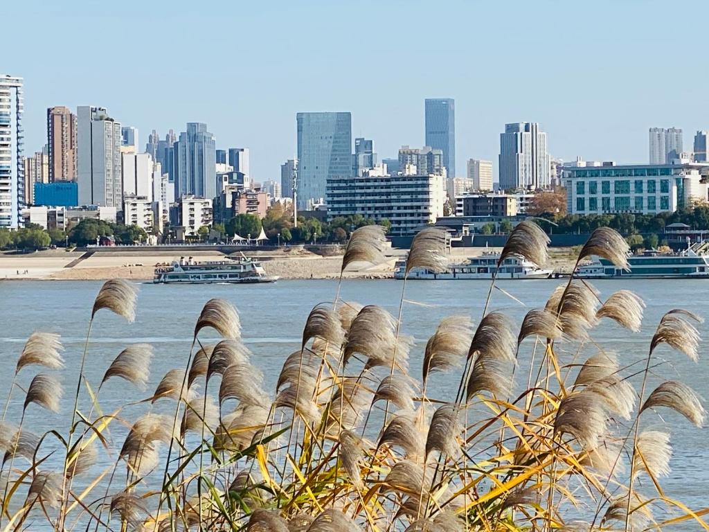 Surrounding environment