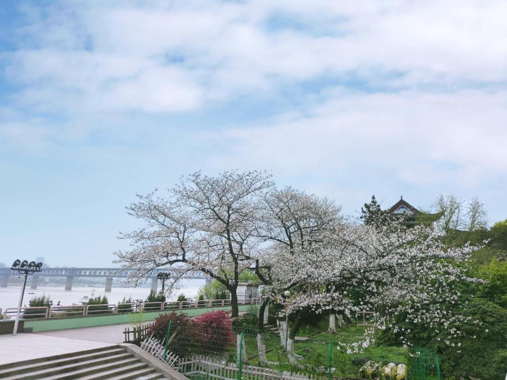 Surrounding environment