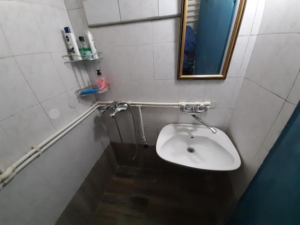 Belgrade city residence, silent and comfortable - 5