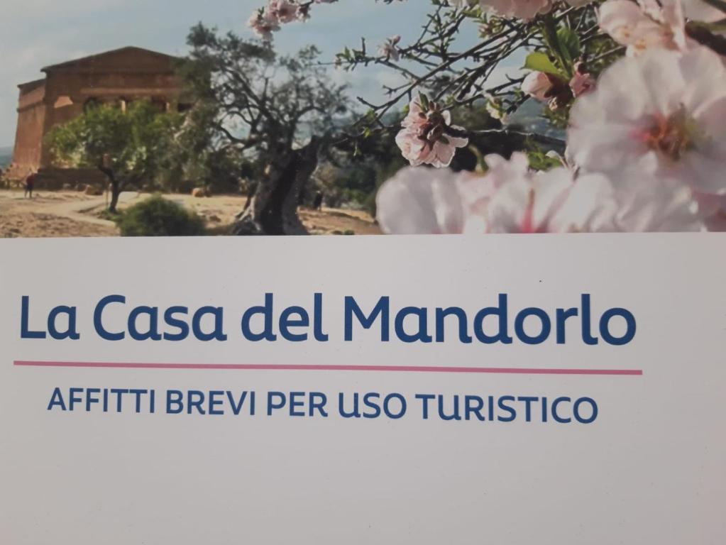 La Casa del Mandorlo - 1