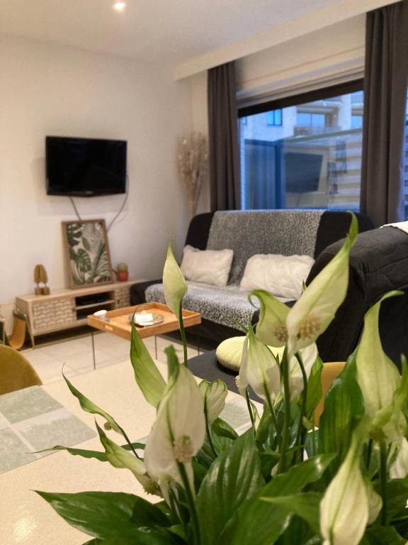 DUNAS, appartement, garage, 200m van strand en centrum, Koksijde