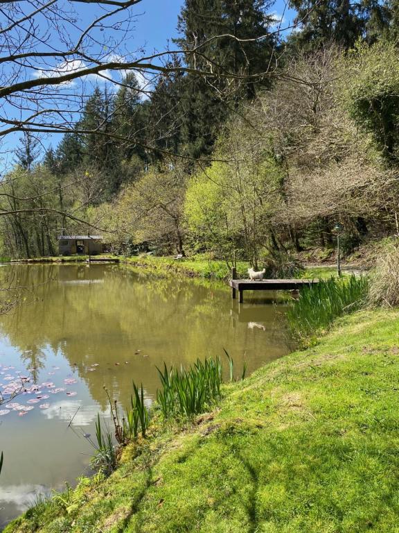 The Goose Nest luxury lakeside shepherd hut in Cardinham Woods, Cornwall, Cardinham