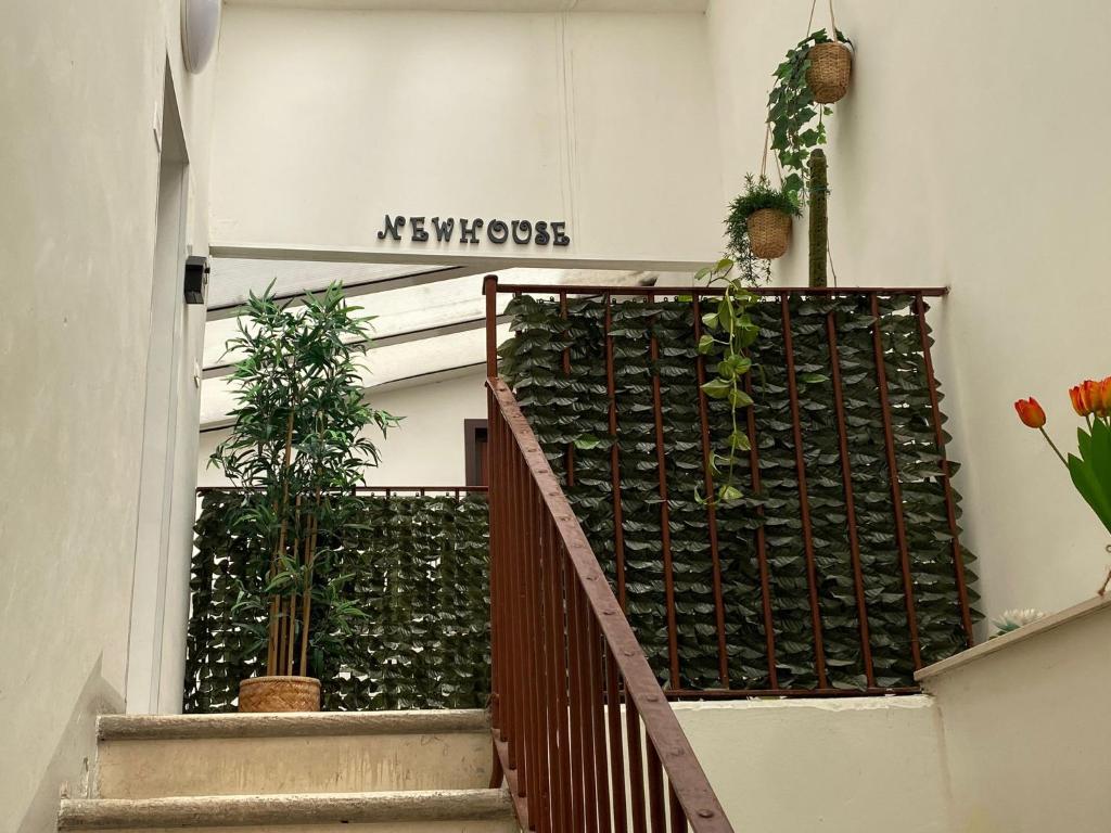 Newhouse 336 - 2