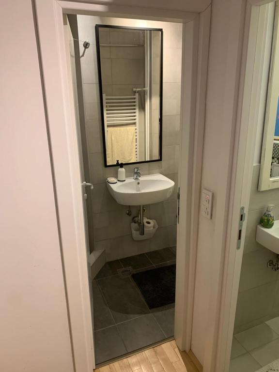 New Belgrade Park View - 5