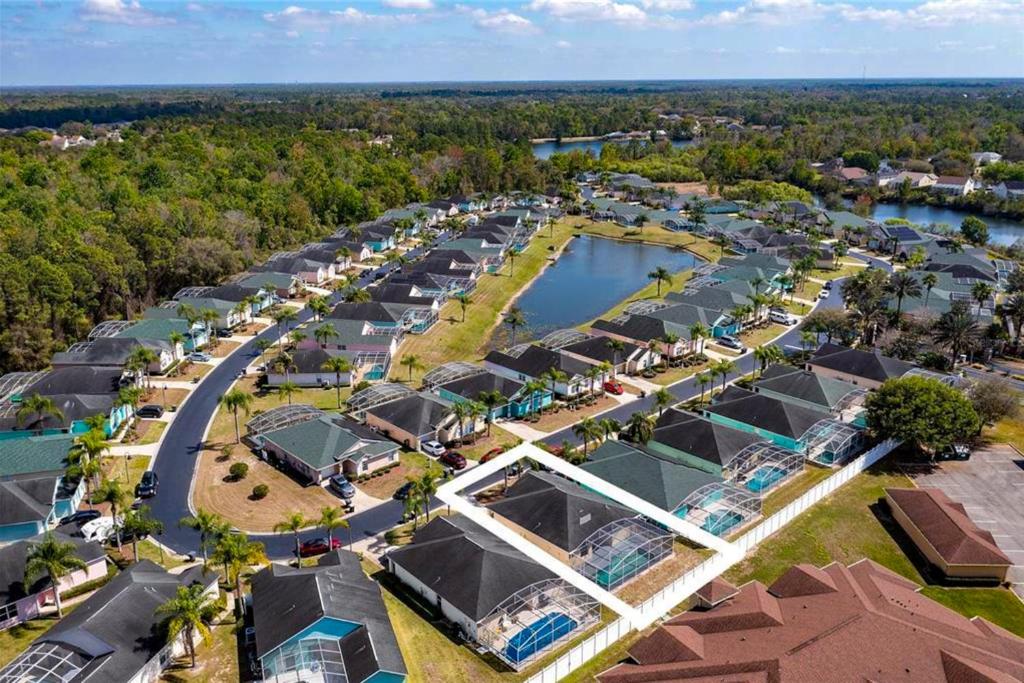 Gathering Under the Palms, Davenport