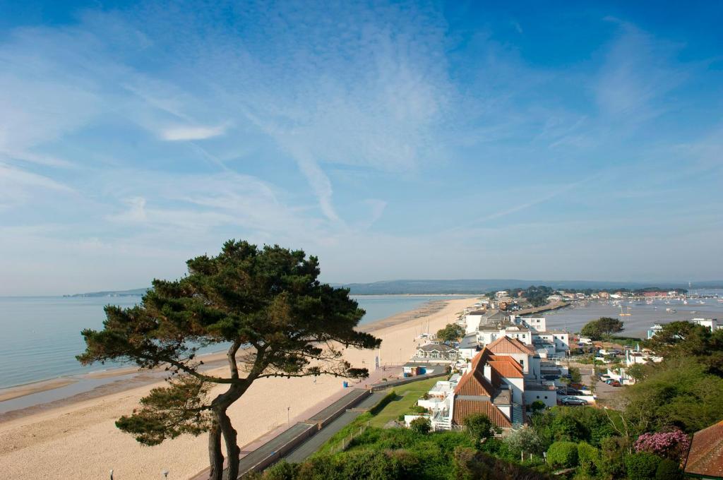 Viewpoint Clifftop Apartment, Southbourne photo 8
