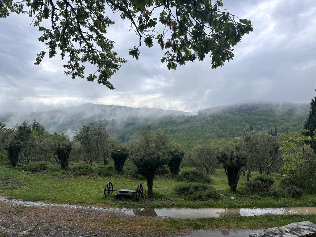 Podere Sagna - 2