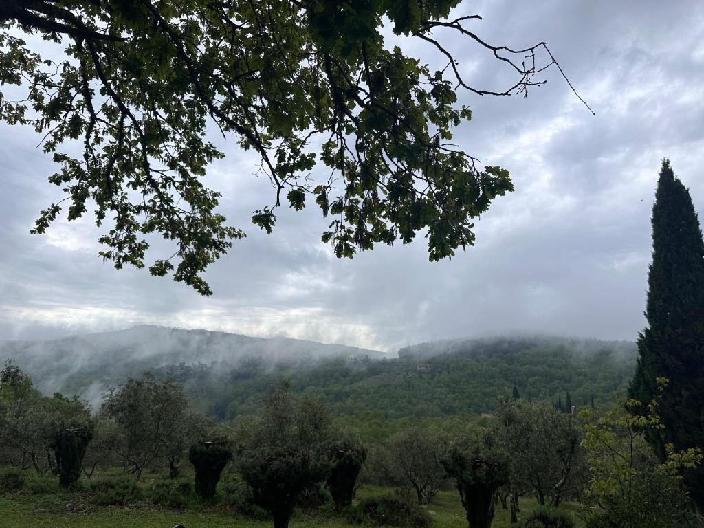 Podere Sagna - 3
