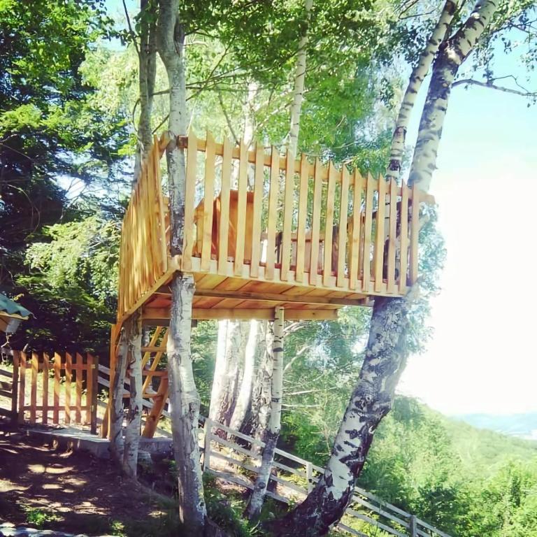 Surrounding environment