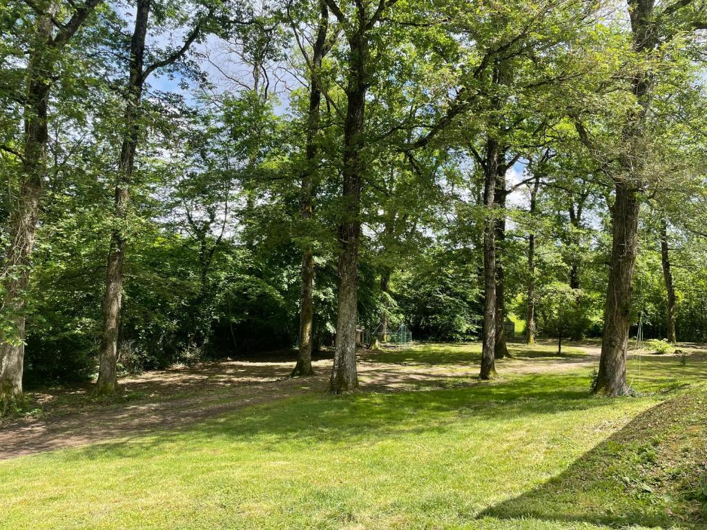 Au cœur des Bois - 1