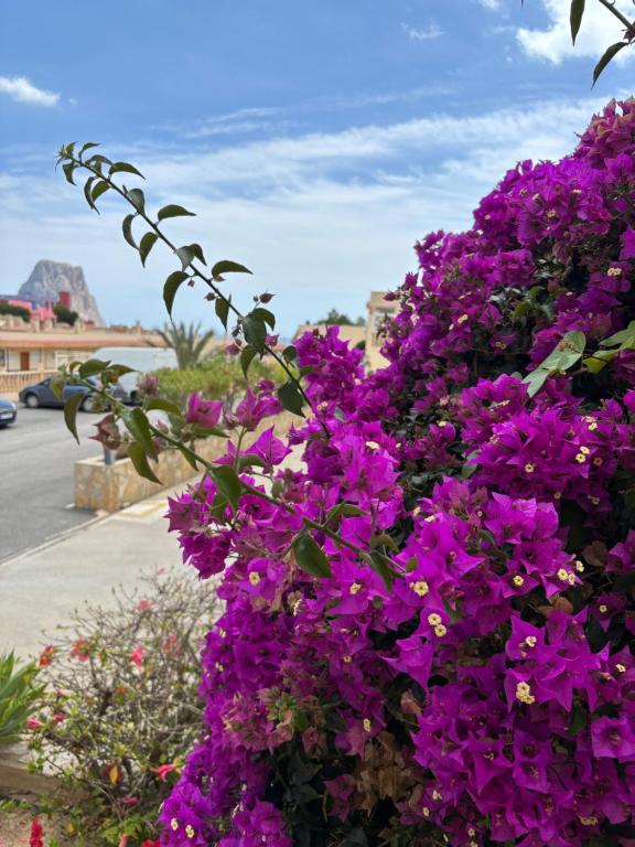 2 Bedroom Duplex i Calpe - 4