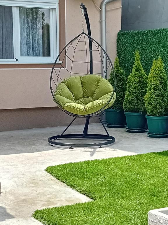 Milivojevic, Soko Banja