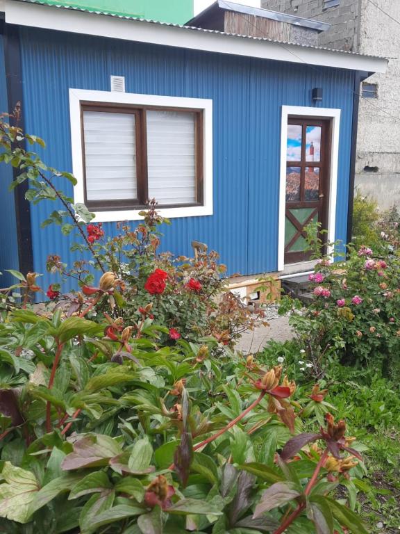 Campos de flores - 1
