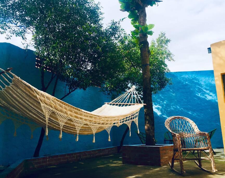 Oasis Isabel, Asunción